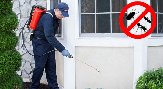 Fethiye Dezenfeksiyon böcek ilaçlama ve haşere kontrolü — ilaclama-tr.com